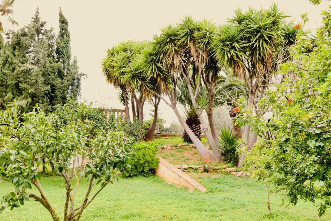 Finca Randa, Llucmayor, Bis 3 Sz, Pool, Garten Llucmajor  Extérieur photo
