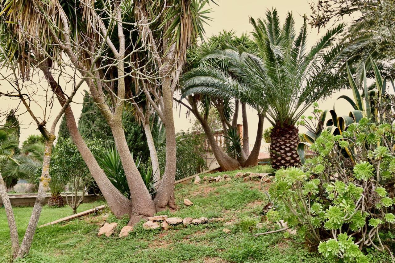 Finca Randa, Llucmayor, Bis 3 Sz, Pool, Garten Llucmajor  Extérieur photo